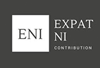 Expat NI Contribution